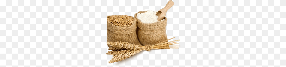 Flour, Powder, Food, Grain, Produce Free Png