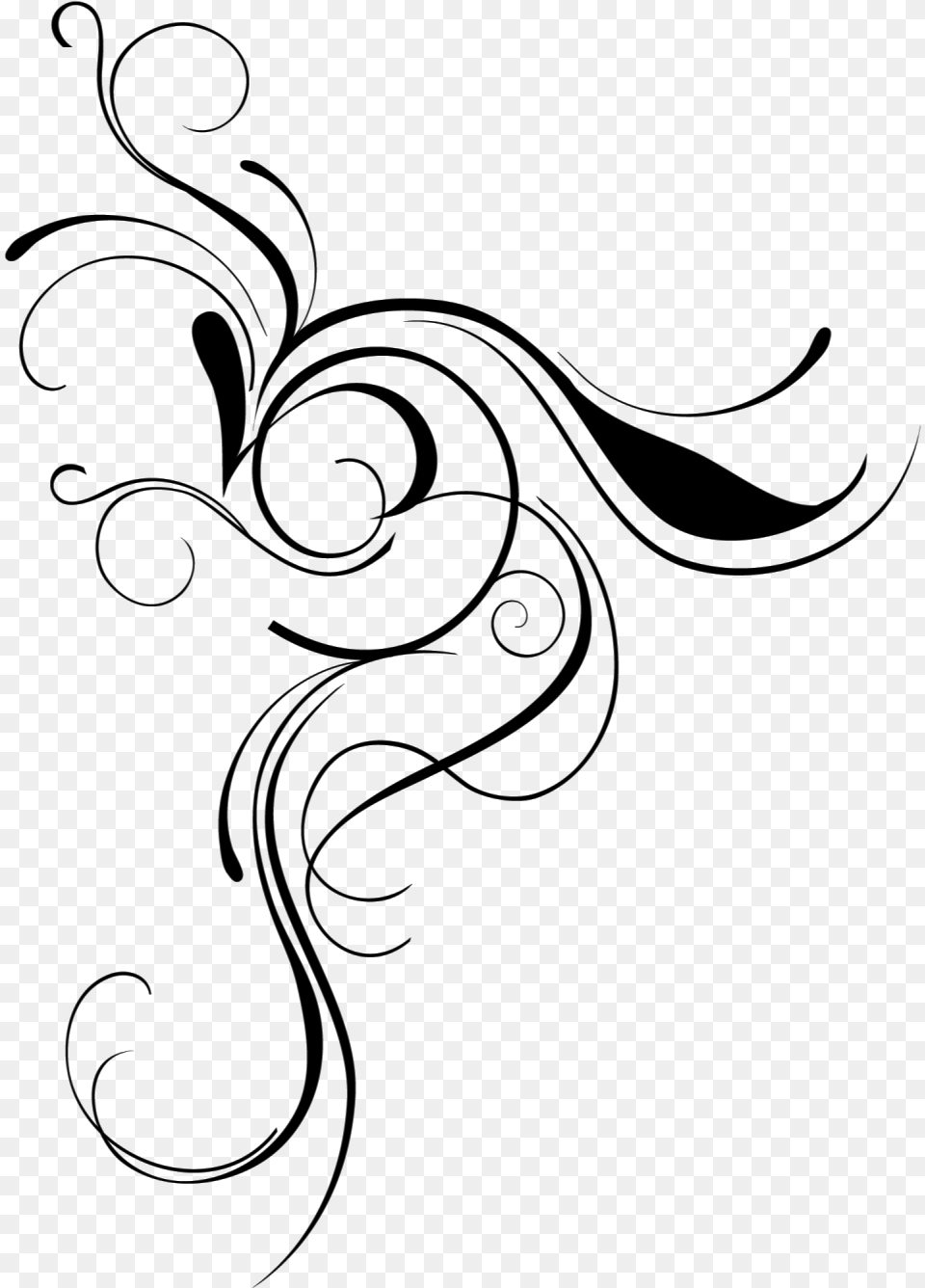 Flourish Clipart Library Clipart Library Calligraphy Flourish Transparent Background, Art, Floral Design, Graphics, Pattern Png Image