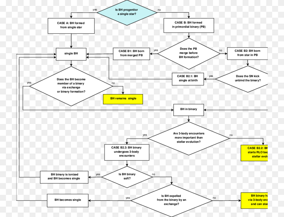 Flow Chart Summarizing The Bh Evolution In Light Of Point, Business Card, Paper, Text Png