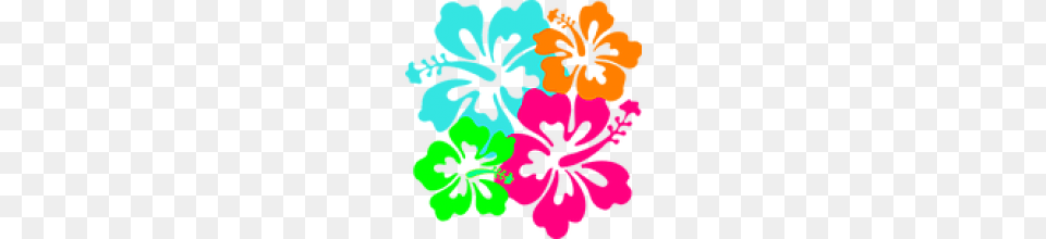 Flow Luau And Book Fair Nesmith Library, Flower, Geranium, Plant, Hibiscus Png Image