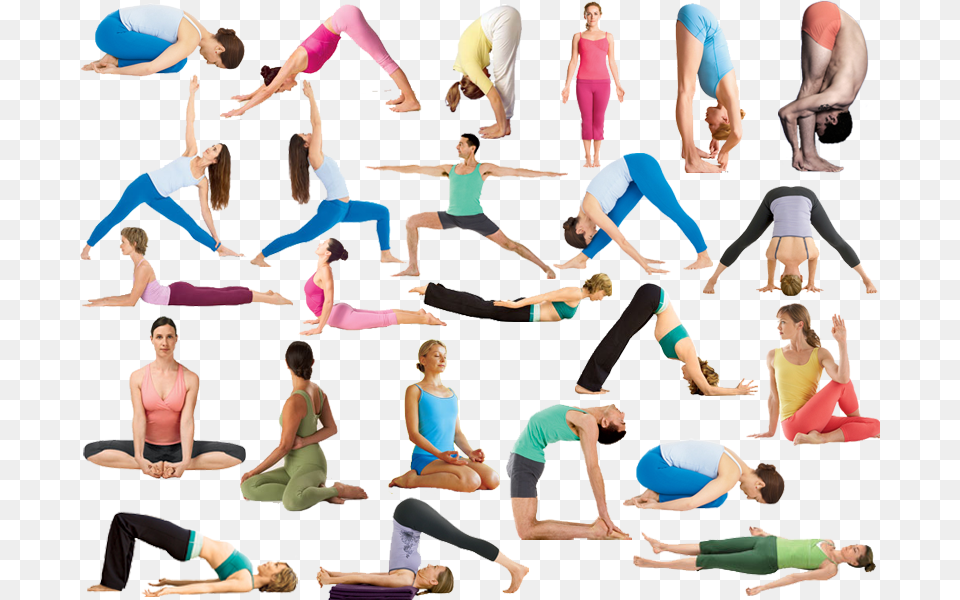 Flow Yoga Poses Hot Yoga Poses Names, Adult, Woman, Person, Female Free Png