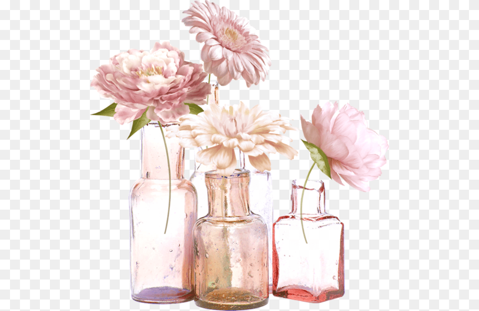 Flower, Vase, Pottery, Jar, Plant Free Png