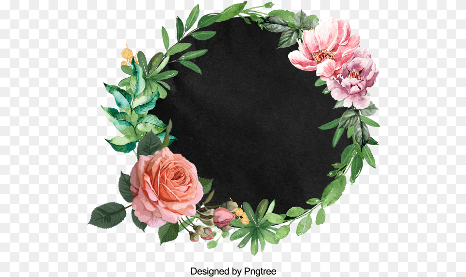 Flower, Pattern, Plant, Rose, Art Png