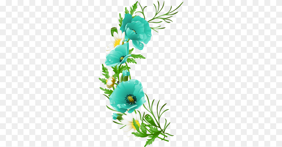 Flower, Anemone, Pattern, Graphics, Floral Design Free Transparent Png