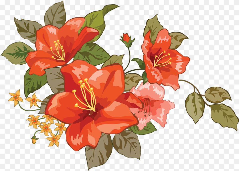 Flower, Plant, Hibiscus, Art, Face Png Image