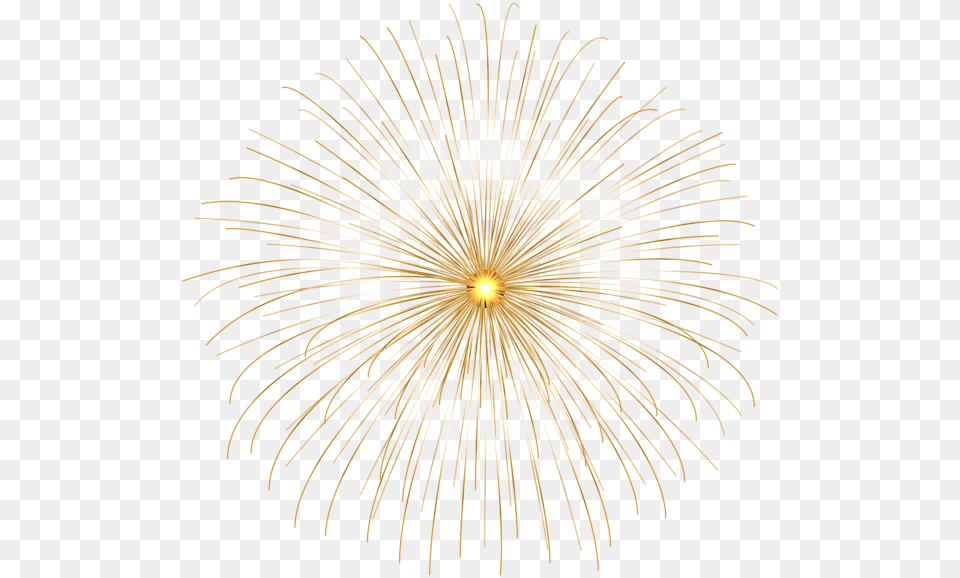 Flower, Fireworks, Plant Png