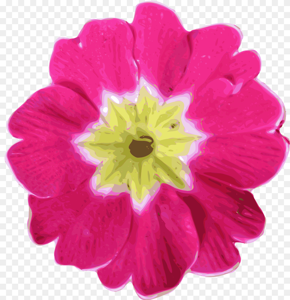 Flower 11 Clip Arts Pink Flower Clip Art, Anemone, Dahlia, Geranium, Petal Png Image