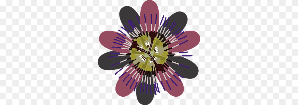 Flower Anther, Plant, Graphics, Art Png Image