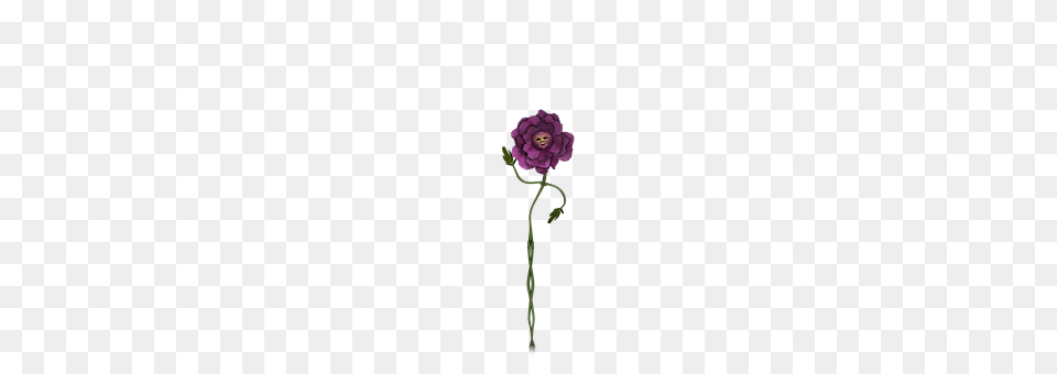 Flower Anemone, Purple, Plant, Rose Free Transparent Png