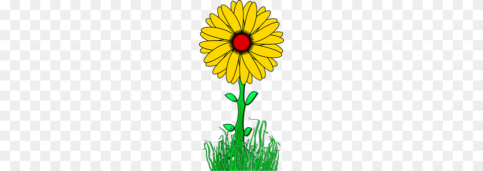 Flower Daisy, Plant, Petal, Sunflower Free Png Download