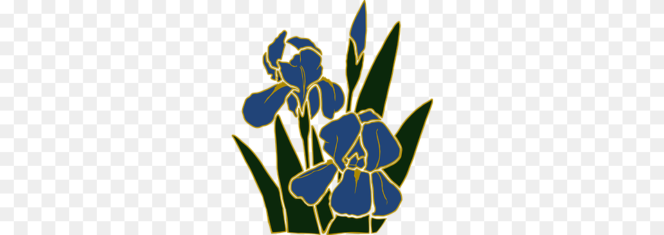 Flower Plant, Iris, Petal, Person Free Png