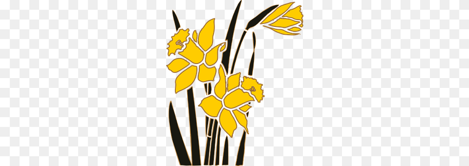 Flower Daffodil, Plant, Animal, Invertebrate Free Transparent Png