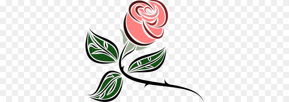 Flower Plant, Rose, Person Png