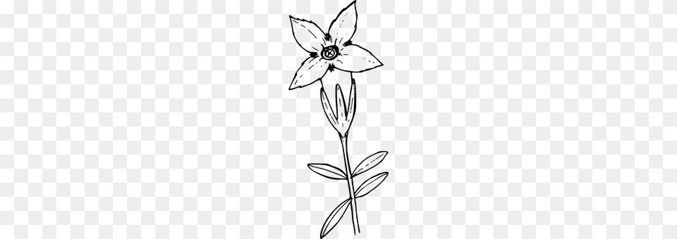 Flower Gray Png