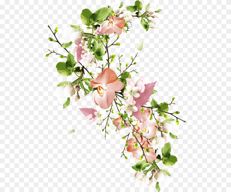 Flower, Flower Arrangement, Flower Bouquet, Plant, Petal Free Png Download