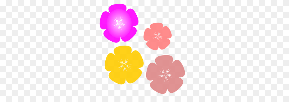 Flower Geranium, Petal, Plant, Anemone Png