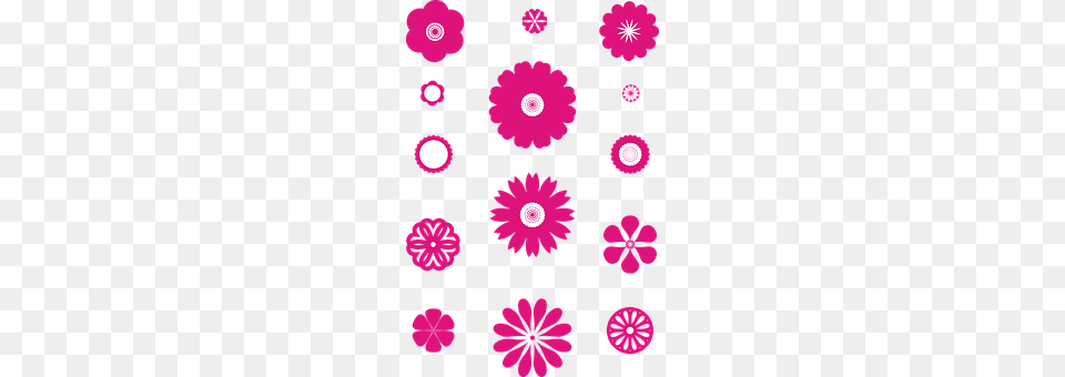 Flower Purple, Daisy, Plant, Pattern Free Png Download