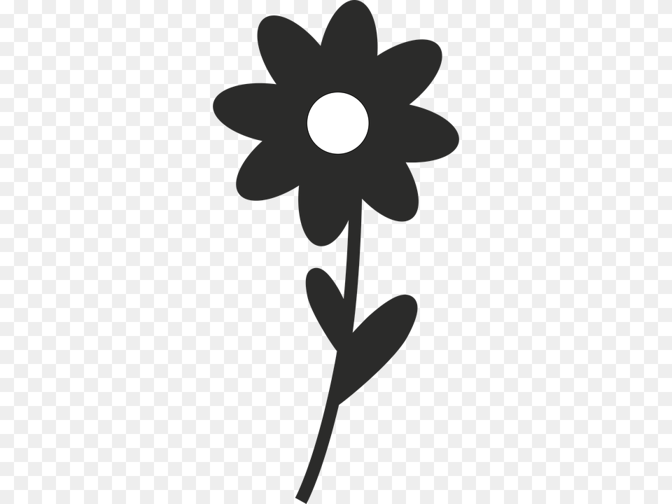 Flower Daisy, Plant, Anemone, Lighting Png