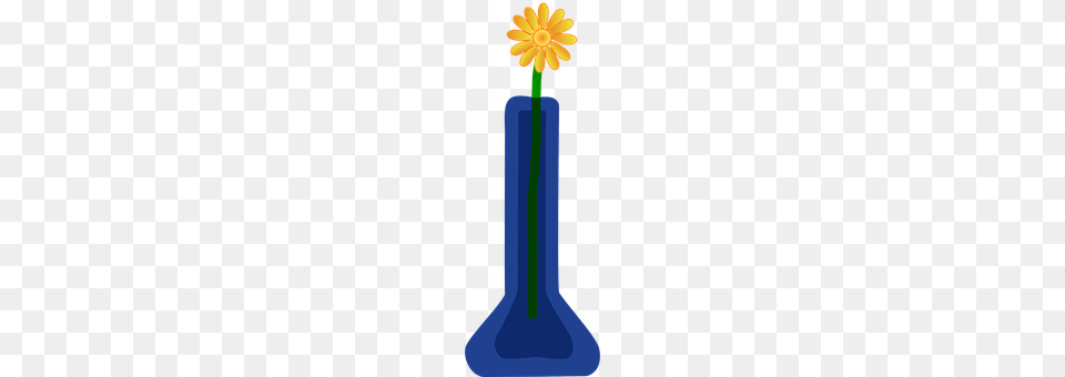 Flower Daisy, Jar, Plant, Pottery Png