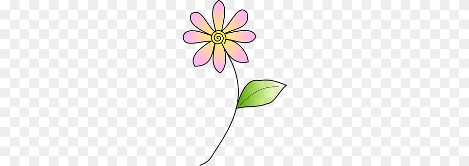 Flower Plant, Petal, Pattern, Graphics Png Image