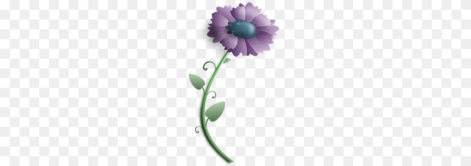 Flower Plant, Anemone, Daisy, Dahlia Free Png