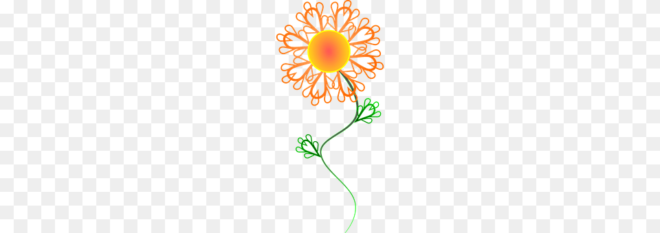 Flower Art, Daisy, Floral Design, Graphics Free Png Download