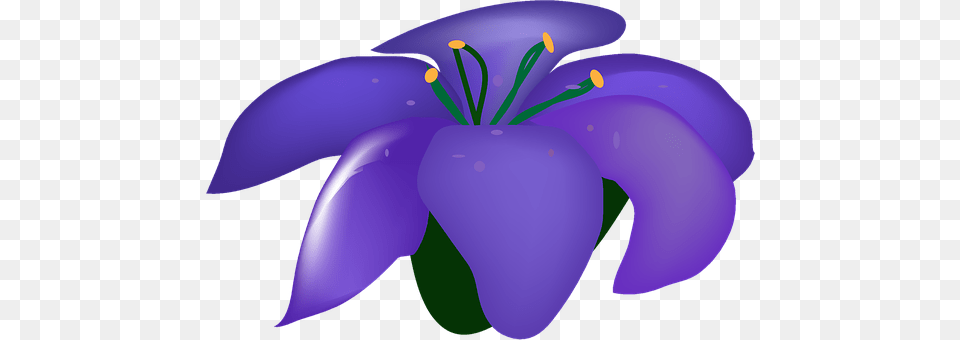 Flower Iris, Petal, Plant, Purple Png