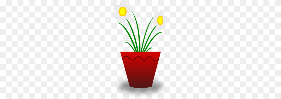 Flower Plant, Daisy, Potted Plant, Vase Png Image