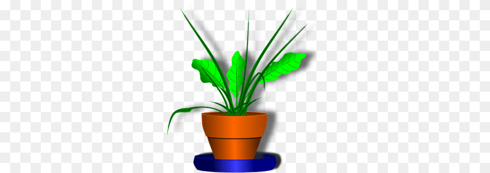 Flower Potted Plant, Plant, Leaf, Cookware Png Image