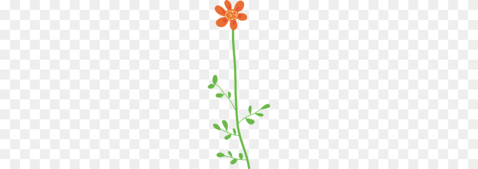 Flower Anther, Art, Plant, Daisy Png Image