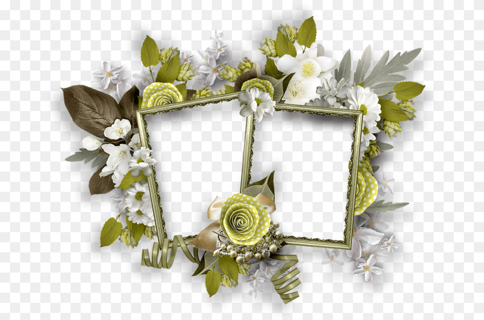 Flower, Flower Arrangement, Flower Bouquet, Plant Png