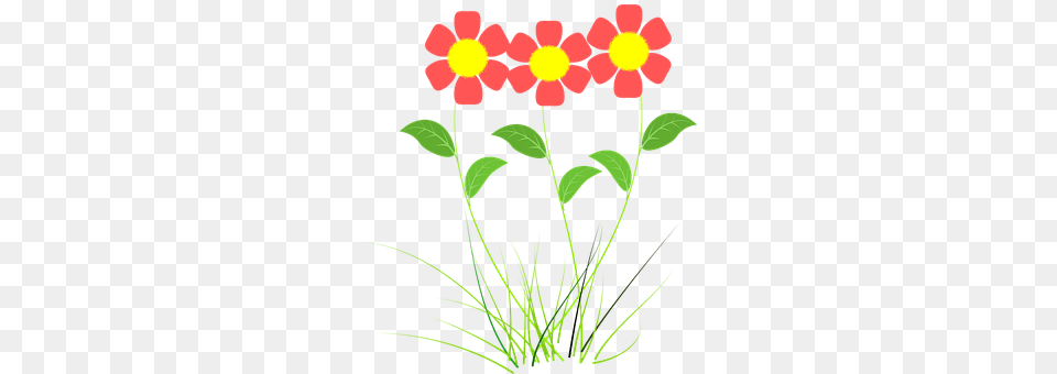 Flower Plant, Art, Daisy, Floral Design Png Image