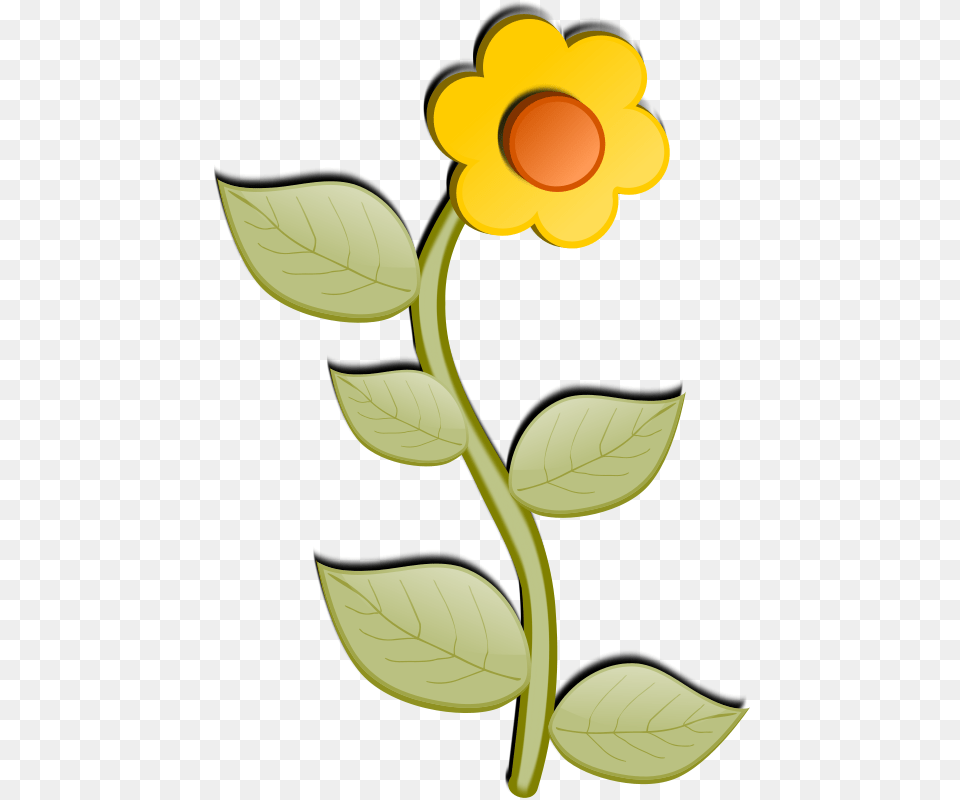 Flower, Plant, Daisy, Petal, Sunflower Free Transparent Png