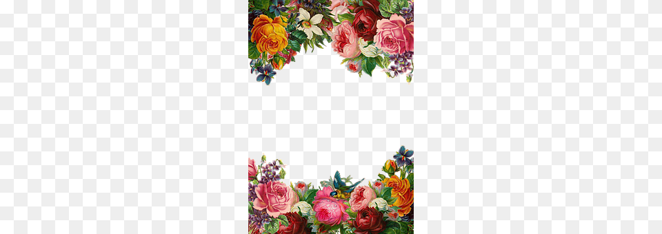 Flower Art, Floral Design, Graphics, Pattern Free Transparent Png