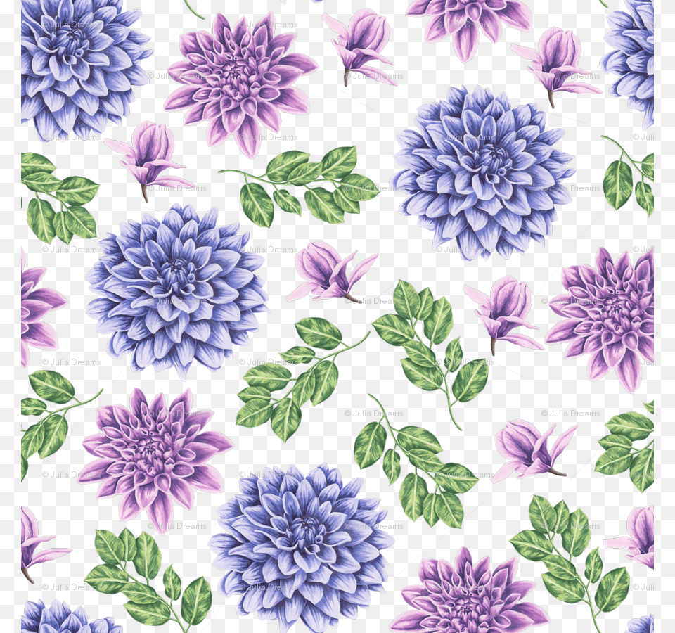 Flower, Dahlia, Plant Free Transparent Png