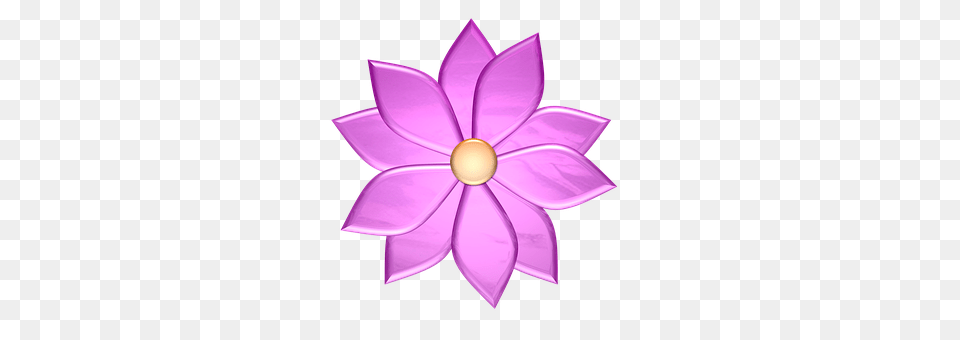 Flower Purple, Plant, Dahlia, Lamp Free Png