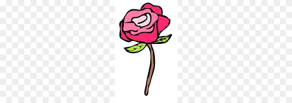 Flower Plant, Rose Free Transparent Png