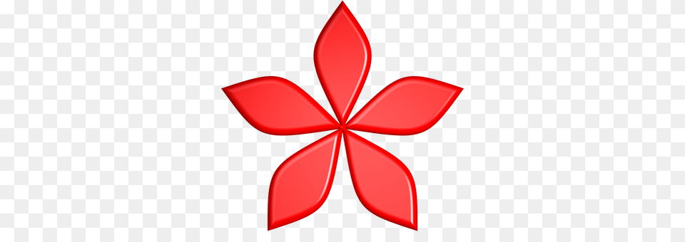 Flower Petal, Plant, Leaf, Symbol Png