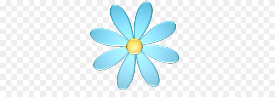 Flower Daisy, Plant, Anemone, Appliance Free Png Download