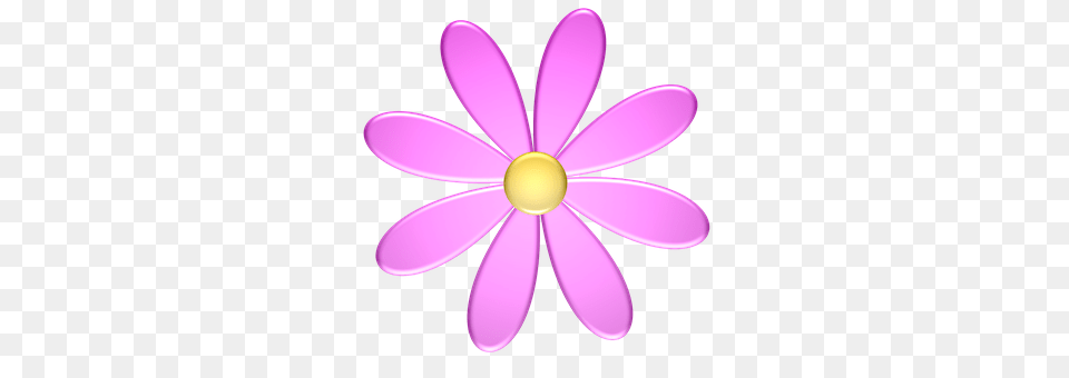 Flower Purple, Plant, Petal, Daisy Free Transparent Png