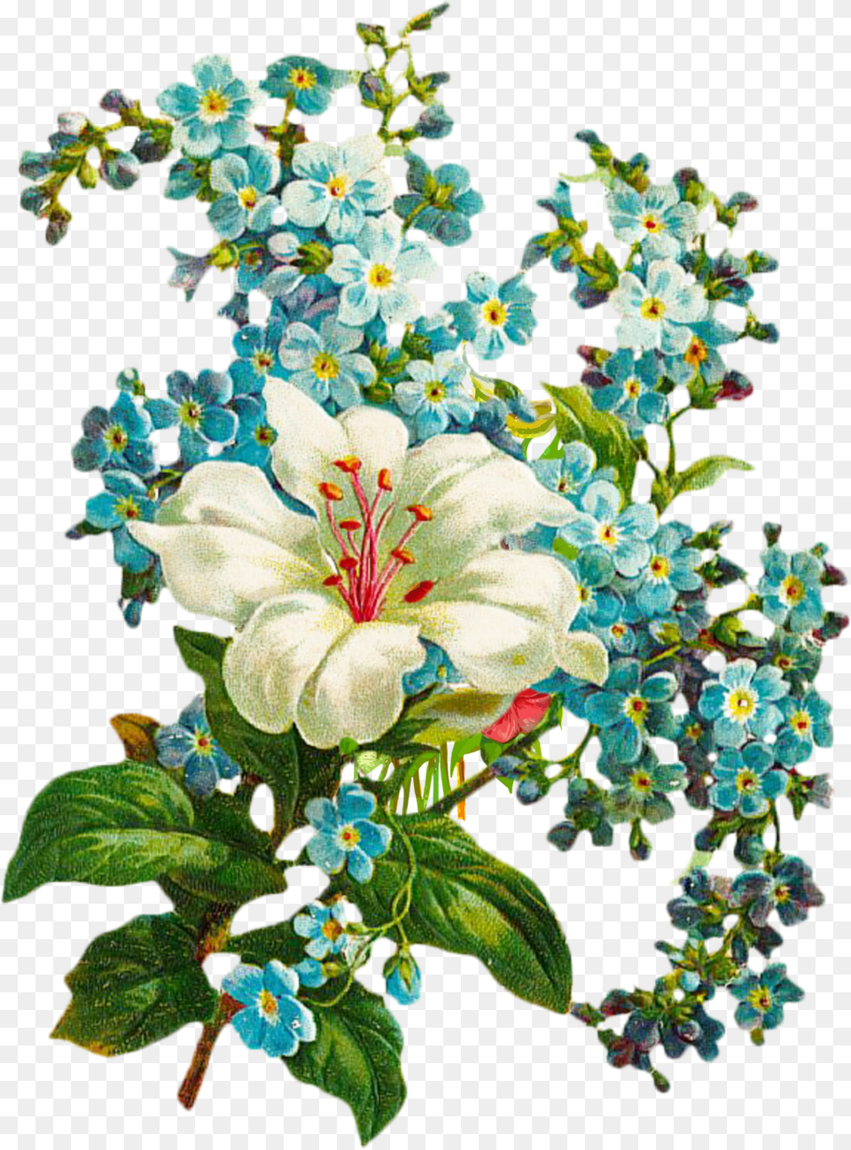 Flower Png