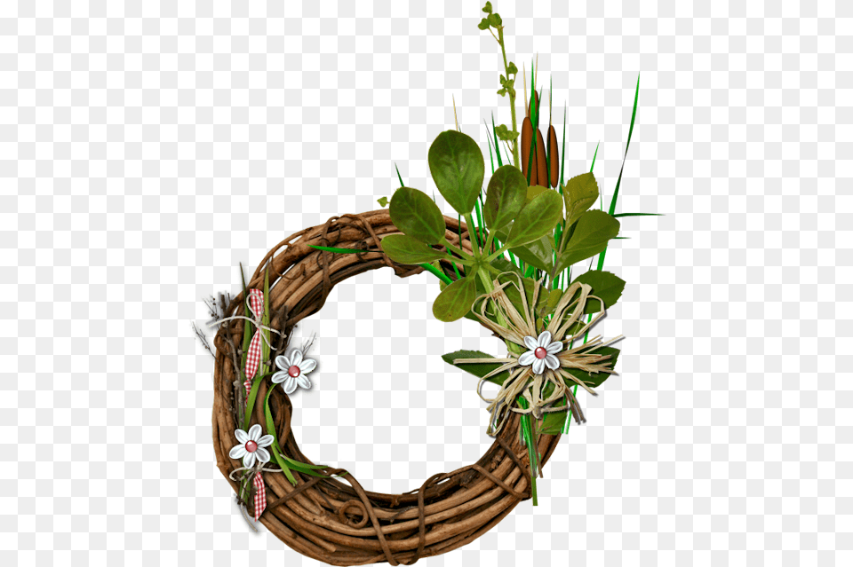 Flower, Flower Arrangement, Plant, Ikebana, Flower Bouquet Free Transparent Png