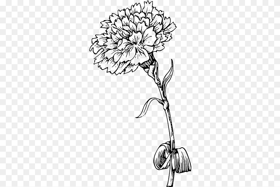 Flower Marigold Flower Black And White, Art, Doodle, Drawing, Machine Png