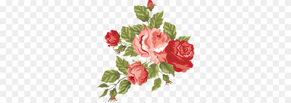 Flower Art, Graphics, Pattern, Floral Design Free Transparent Png