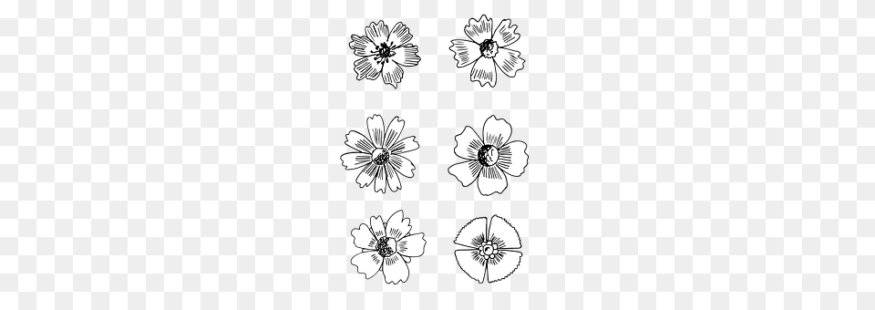 Flower Daisy, Plant, Art, Floral Design Free Transparent Png