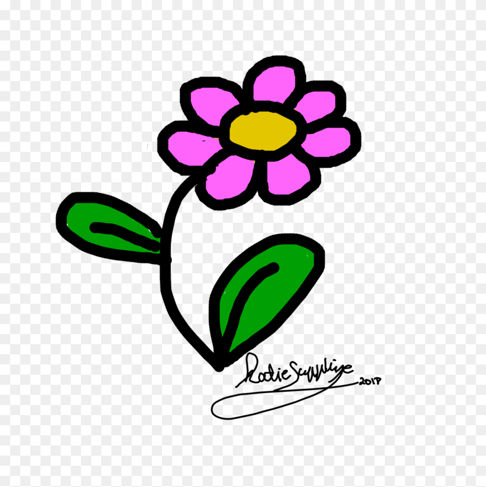 Flower, Anemone, Daisy, Petal, Plant Free Png