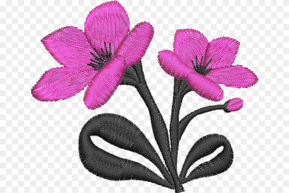 Flower, Anemone, Anther, Geranium, Pattern Free Png Download
