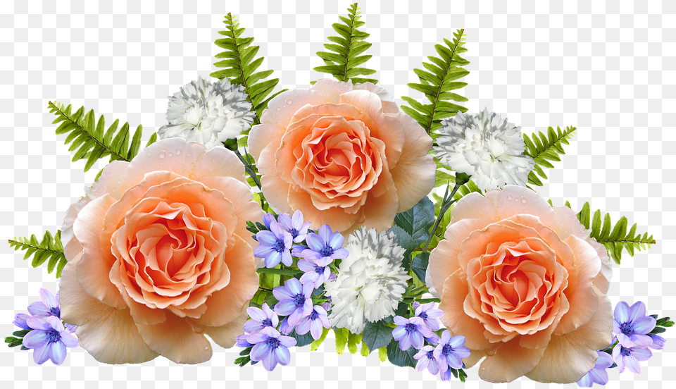 Flower, Flower Arrangement, Flower Bouquet, Plant, Rose Free Png Download