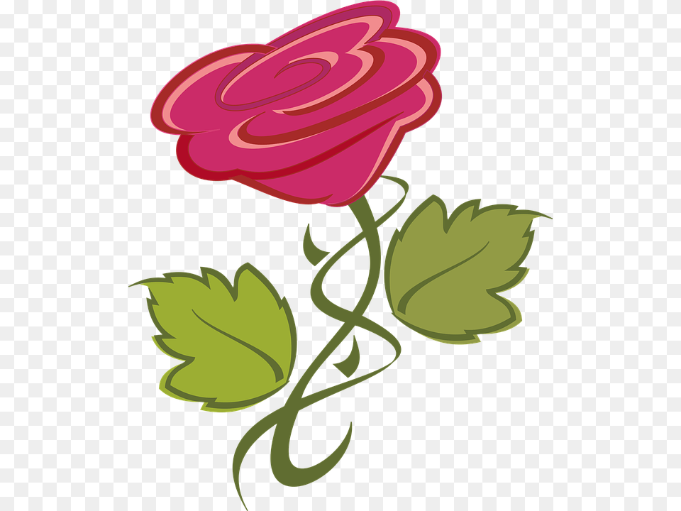 Flower Art, Graphics, Plant, Rose Free Png Download