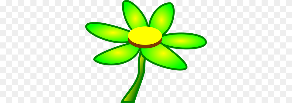 Flower Daisy, Green, Plant, Appliance Png
